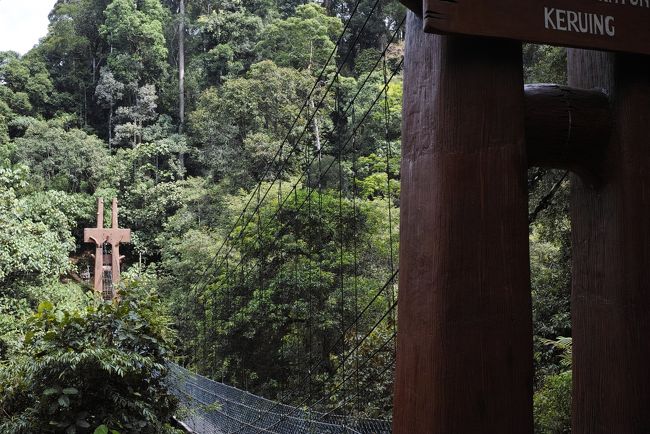 ここから国立公園内部です。<br /><br />入り口の直ぐ近くにあったつり橋ですが、今はメンテナンス中で<br /><br />渡れないとの事。（残念）