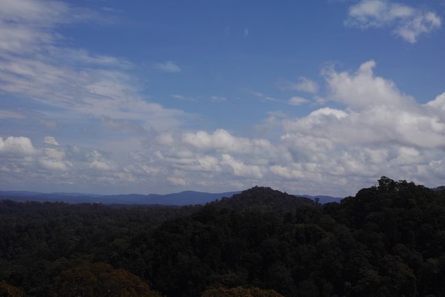 すごく雄大な自然が眼前に360度広がっています。<br /><br /><br />かなりの体力を使い、ここまで来た甲斐がありました～。<br /><br />達成感＋絶景で何とも言えず気持ちよかったです～～～。<br /><br />やっぱり写真じゃ伝わらないので、是非ご自分の眼で確かめてください。<br /><br /><br />ところで猿は？？<br /><br />ガイドさんに聞いたら、この時間は寝てるとの事。<br /><br />なぬ～（￣□￣；）<br /><br /><br />朝方か夕方じゃないと見れないらしい。。。<br /><br /><br />通称モンキーおじさんの誘いに乗れば良かったと後悔。<br />（これも次回の課題だー。）