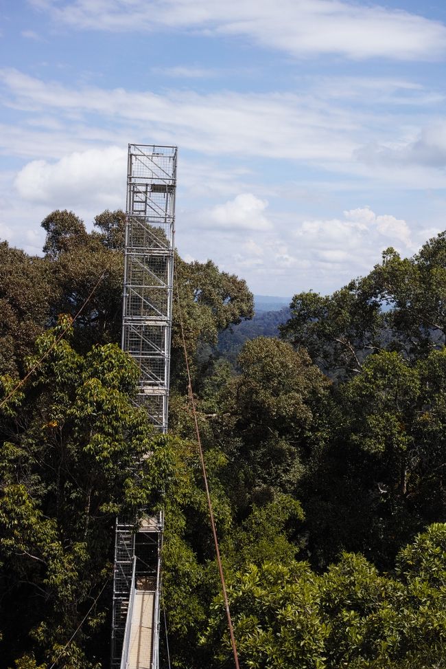 さらに上へ～<br /><br />見えているつり橋部分や垂直に上る階段部分は同時に移動出来るのは2人のみ。<br /><br />つまり、それほど強度が無いって事です。<br /><br />相方が言ってましたが、結構揺れていたようです。<br /><br />高所恐怖症の方は、スリル満点の事でしょう～♪