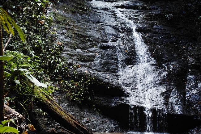 はい。これが滝です。<br /><br />これですか～。と思いましたが、<br /><br />ここには天然のドクターフィッシュがいて、楽しかったです～。<br /><br />足を入れると、直ぐに角質を食べにやってきます。<br /><br />初体験～～～<br /><br /><br />そして、<br /><br />フランス人の旦那さんは、Oh～！　BIG ONE！！　BIG ONE！！と<br /><br />テンションMAX。<br /><br />自分も負けじと、BIG ONE！！と連呼しました～。