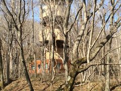 北大苫小牧研究林（演習林）の森林観測塔

5月3日：苫小牧北大研究林

明治３７年（１９０４年）に創設された北大農学部の演習林です。
この塔は1977年に建てられたものだそうです。
森と清流のせせらぎ、鳥のさえずり、そしてリスが遊ぶ空間。
森林浴にも最適です。
休養緑地・環境保全を目的とした、もみじ施行林、樹木園、遊水池などの維持・管理施行を行っていて、その一部が市民に開放されています。　　　　　　　　　　　　　　　　
入林自由・無料駐車場あり

