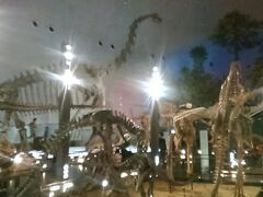 恐竜博物館　月曜なのにまあまあの人出(・□・；)
