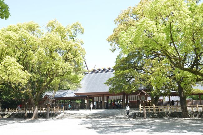 私は去年初めて訪れて、丁度良い広さや、緑いっぱいの参道がとても気に入り、また来たいと思っていました。