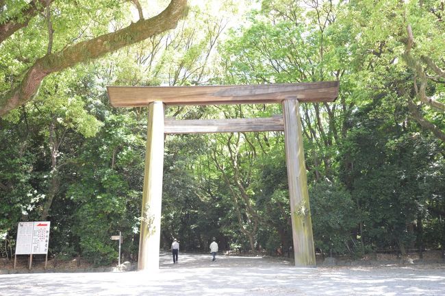 朝から緑いっぱいの中をお散歩出来、とても神聖な気持ちになりました。