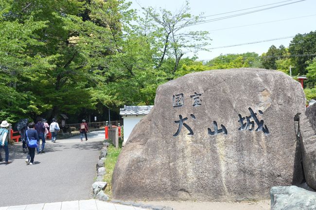 熱田神宮にも行ったし、芳光にも行ったし、もう行くところが無くなってしまいました。<br />これからどうしようか～と話しながら地図を見たところ、近くに犬山城があるのを発見。<br />犬山城と言えば、最近我が家でブームの現存天守のお城ではないですか。<br />ここで行かなきゃいつ行くの？！という事でこの旅最後の観光は犬山城に決定。<br />地図を見ると名古屋市内からあまり距離はなかったのですが、下道でのんびり向かったら1時間もかかってしまいました。