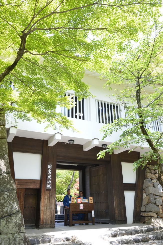 駐車場に車を停めて犬山城に向かいます。<br />この日はとても暑く、犬山城は小高い丘に建っている為階段が続き、病み上がりの体調にはかなり応えます。