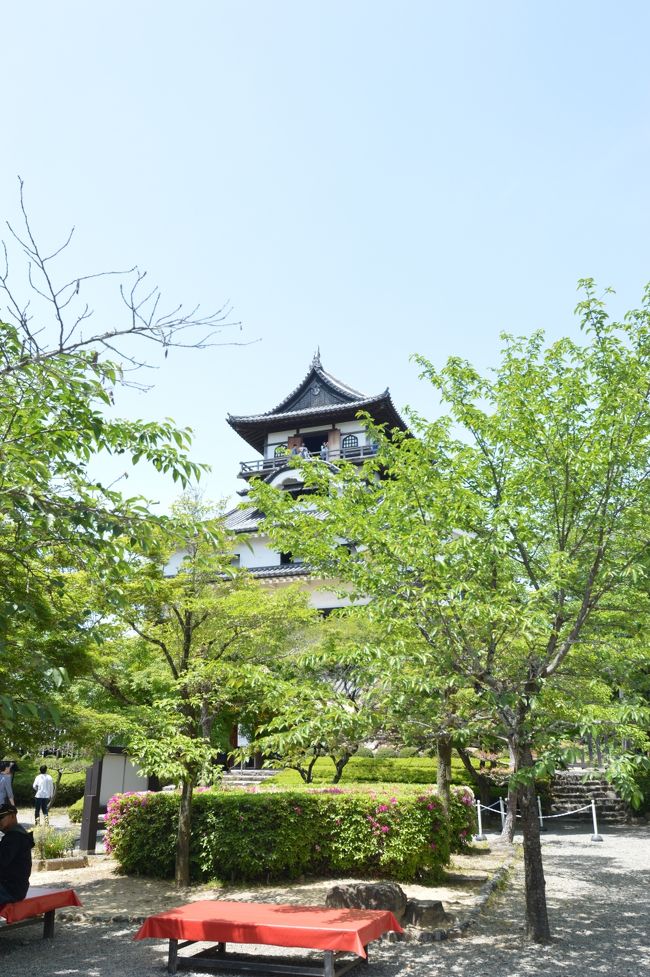 ひーひー言いながらやっとの事で犬山城に到着。