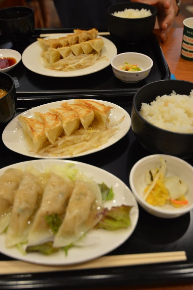 宇都宮餃子よりも浜松餃子派の私と旦那さん。<br />今日は浜松餃子を食べると決めた時からウキウキしっぱなしでした。<br />久々に食べる浜松餃子はもう絶品。<br />病み上がりでそんなに量は食べられませんでしたが、とても美味しかったです。