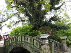 この橋の先には松原神社