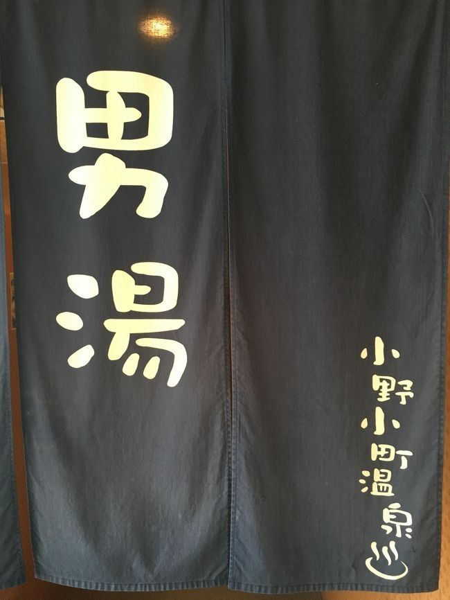 天橋立から車で30分セントラルホテル京丹後の温泉に入ってきましたよ