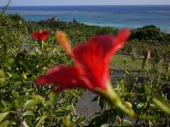 車を走らせて
玉取展望台へ
サンゴ礁の海を眺めます

ハイビスカスが綺麗