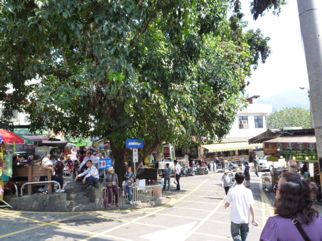 深抗老街入り口にある巨木<br /><br />深抗バス停のそばにあり、深抗老街の入り口の目印になっています。<br />林さんとの待ち合わせもここにしました。