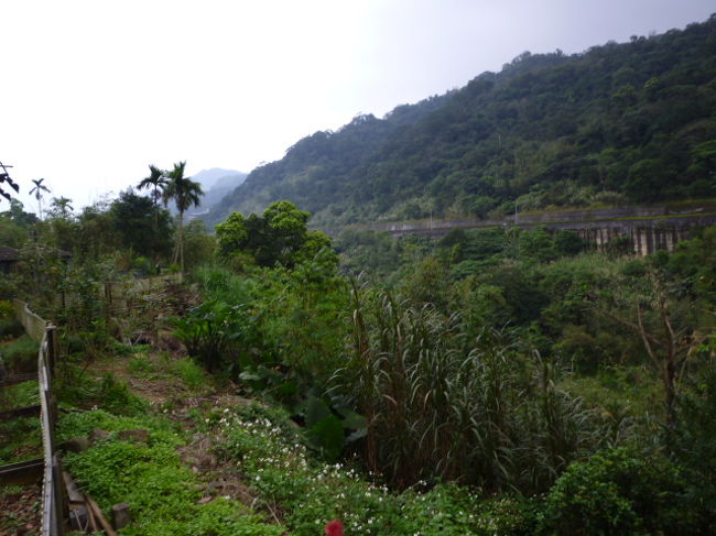 葡萄樹 深抗 レストラン　から見る風景