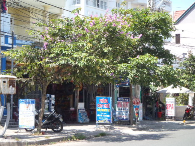 食べ物のお店とか・・・