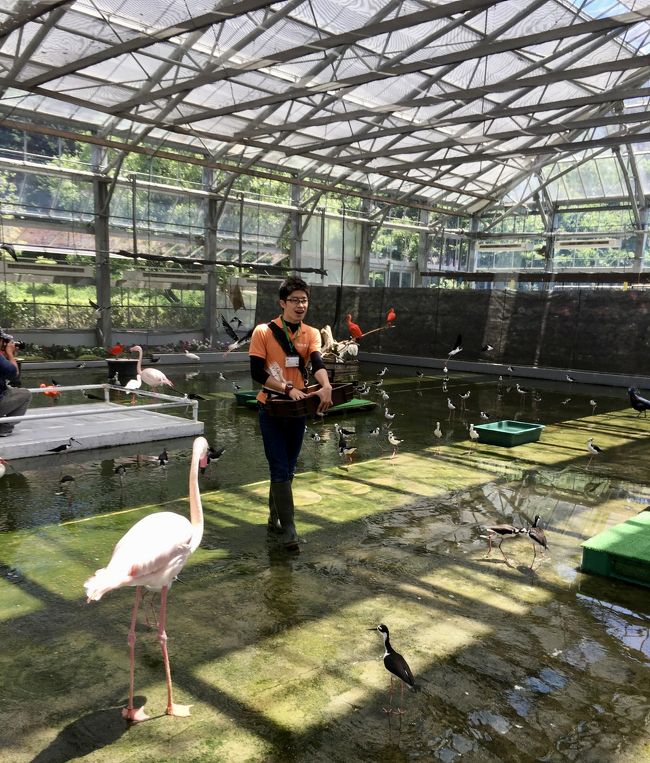 そんなに鳥が好きでなくっも楽しめる 行ってよかった 掛川花鳥園 掛川 静岡県 の旅行記 ブログ By Someさん フォートラベル