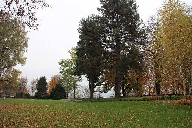 綺麗な公園です。