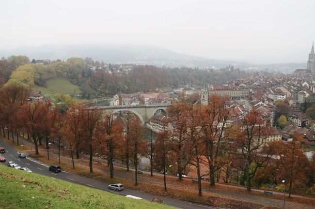 バラのない季節だったけれど　この景色を見る価値があります（晴れてたら・・）　