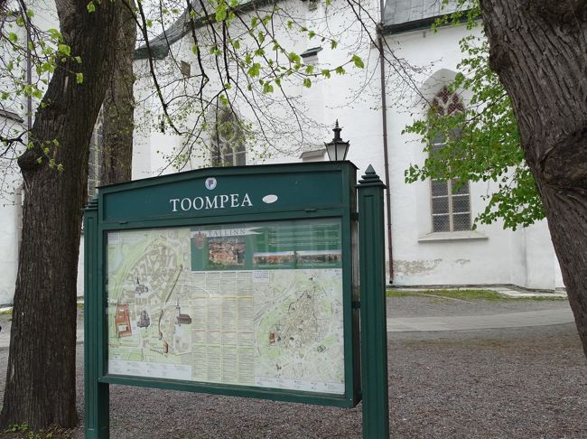 トームペーアの丘からのタリンの街が一望できるそうです