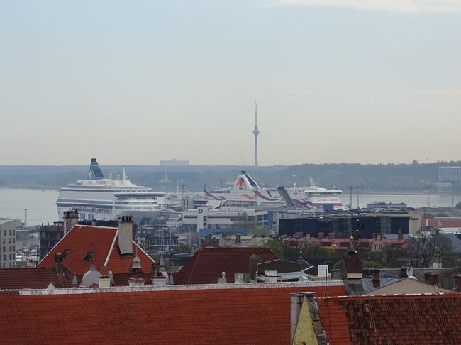 大型客船が見えます