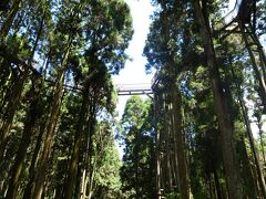 渓頭森林遊楽地

空中走廊が見えてきました