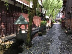 やなか水のこみち

郡上八幡は水の街と言われていますが、あちらこちらに水路が通っていて、絶えず水の流れる音がどこからしか聞こえてきます。