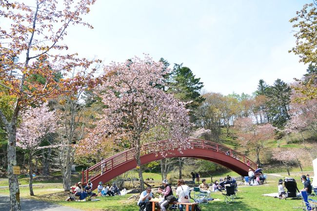 桜 牡蠣まつり 厚岸 厚岸 霧多布 北海道 の旅行記 ブログ By Morino296さん フォートラベル