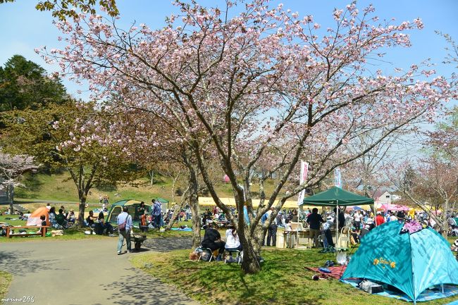 桜 牡蠣まつり 厚岸 厚岸 霧多布 北海道 の旅行記 ブログ By Morino296さん フォートラベル