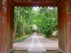 こちらが寿福寺。
門からのぞく参道がなんともいい感じでしょ？

ここではこの参道の写真をパシャパシャ撮って次のスポットへ。