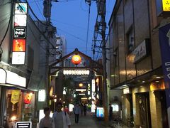 最後は、横浜の隣駅 桜木町駅にある飲屋街 野毛商店街にいって、レモンサワーで美味しく今回の旅をシメました。


あ、ちなみに野毛飲屋街もノスタルジーな雰囲気があってなかなか写真映えするスポットでした。