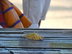 【ポルトセグーロベイ／バイーア州／ブラジル】

ブラジルは、そろそろ秋めいてきました。南米は南半球。季節が北半球にある日本とは全く反対になります。

...とはいえ、日中、晴れていると、２５－３０度ほど。乾燥しているので、爽やかな感じなんです～