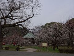 弘道館公園にやってきました。
梅の中に有るお堂は八卦堂です。
