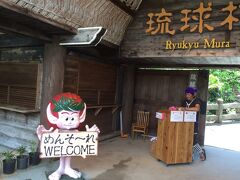 今回はＡＮＡツアーさんでのレンタカーパックです。

美ら海水族館をはじめ、沖縄の主たる観光地の入場券がセットされておりました。

沖縄初心者には大変便利です。