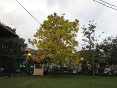 日が暮れてきましたが、仏歯寺に行きます。ちょうど、本日最後の御開帳にタイミングが合うようです。