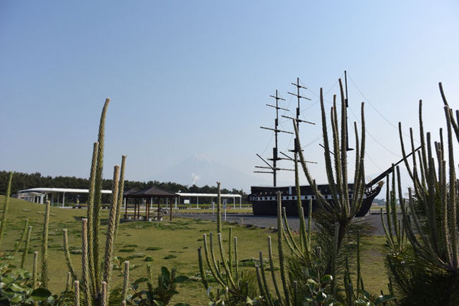 戸田 公園 自転車 修理