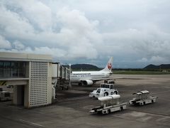 17時20分、石垣島に到着！！

雨は降ってないけど、どんより曇り空。