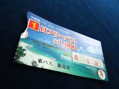 8時15分、川平湾に行くため、バスターミナルへ。
１日フリーパス1000円を購入した。

バスターミナル⇒川平公園まで片道720円だから、往復乗れば、フリーパスの元がとれちゃう。

よくよく有効期限を見てみると・・・「６　１　９」と印字してある？？？
今日は5月31日なんだけど、これは「6月1日9時まで」ってことか。
それなら、明日の朝に乗る空港行きバスでも使えるんじゃないか？

東運輸ホームページには「１日フリーパス 1,000円 全路線バスが1日乗り放題となるパスです」としか書いてないが。

⇒結局、翌日の朝8時の空港行きバスでも使えた！！

