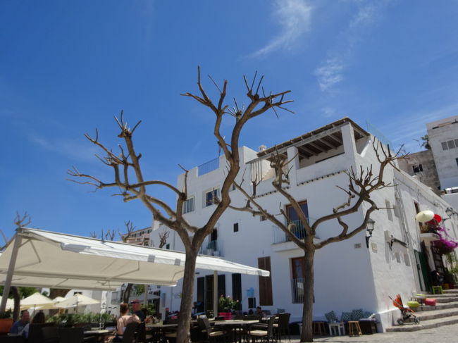 おもしろい木（≧∇≦*）