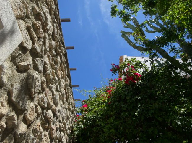 石垣なんかいいなぁ。<br /><br />南国ってかんじ☆