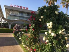 日曜の早朝空港にやって来ました。
もう終わりかけだけど、薔薇が綺麗な宇部空港。
駐車場ガラガラでした。