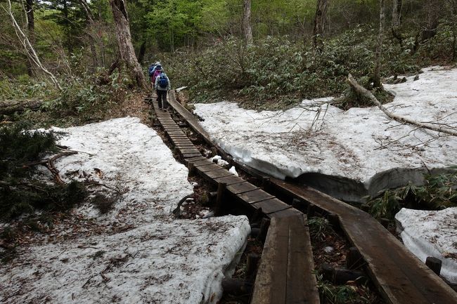 木の歩道は、所どころ雪で覆われて、歩けなくなっていました。反対側からも人が来ると、お互い譲り合って片側通行です。