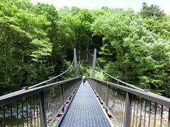 木の俣川にかかる巨岩吊橋。