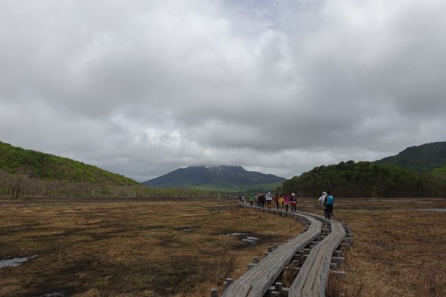 尾瀬ヶ原の風景、このような景色が続きます。