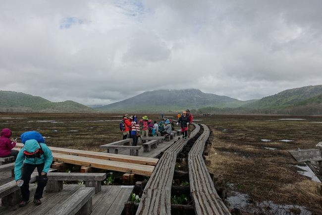 日帰りハイキングの場合、お薦めコースはここの牛首分岐で折り返しです。まっすぐ行く道と、左に折れる道に分かれます。ここにはお店やお手洗いはありませんが、座れるスペースはたくさんありました。