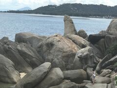 ところ変わって、陸上へ。
陸にいるときは、基本的にあっち行ったりこっち行ったりする日と、ホテルで過ごす日と半々くらいです。

ここにも一応、観光スポットなので行きましたよ。

岩

岩よりもこの辺りは水が綺麗なので泳ぎたかった。
ヒンターヒンヤーイがあるラマイはチャウエンに次ぐ繁華街で、約３キロに渡って商店街が続きます。
夜は結構妖しい雰囲気な場所もあります。（ムエタイ村辺り）
でも、そういうのもワクワクしてしまう（笑）