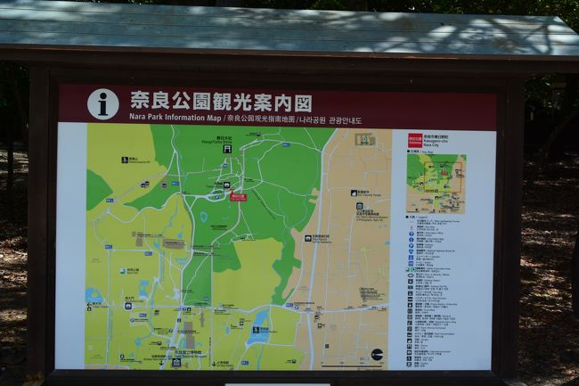 駐車場に到着　　春日大社駐車場（国宝殿の前）に車を止めます　1000円也