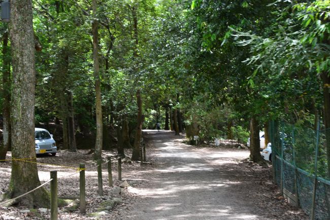 茶屋の横を進んでいくと