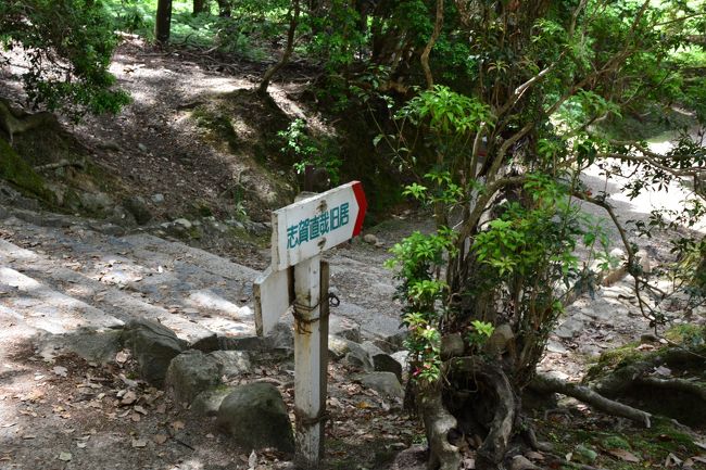 ささやきの小径にでます