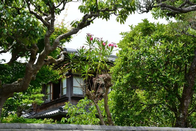 いい感じの佇まいですね