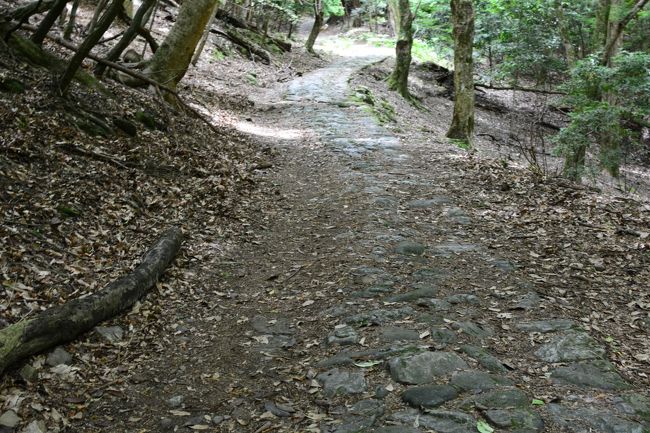 石畳みの道です　わかりずらいかもしれませんが