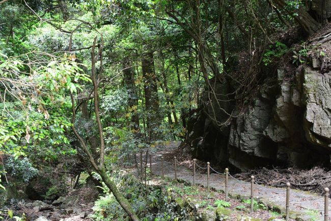 このような道をてくてく歩きます